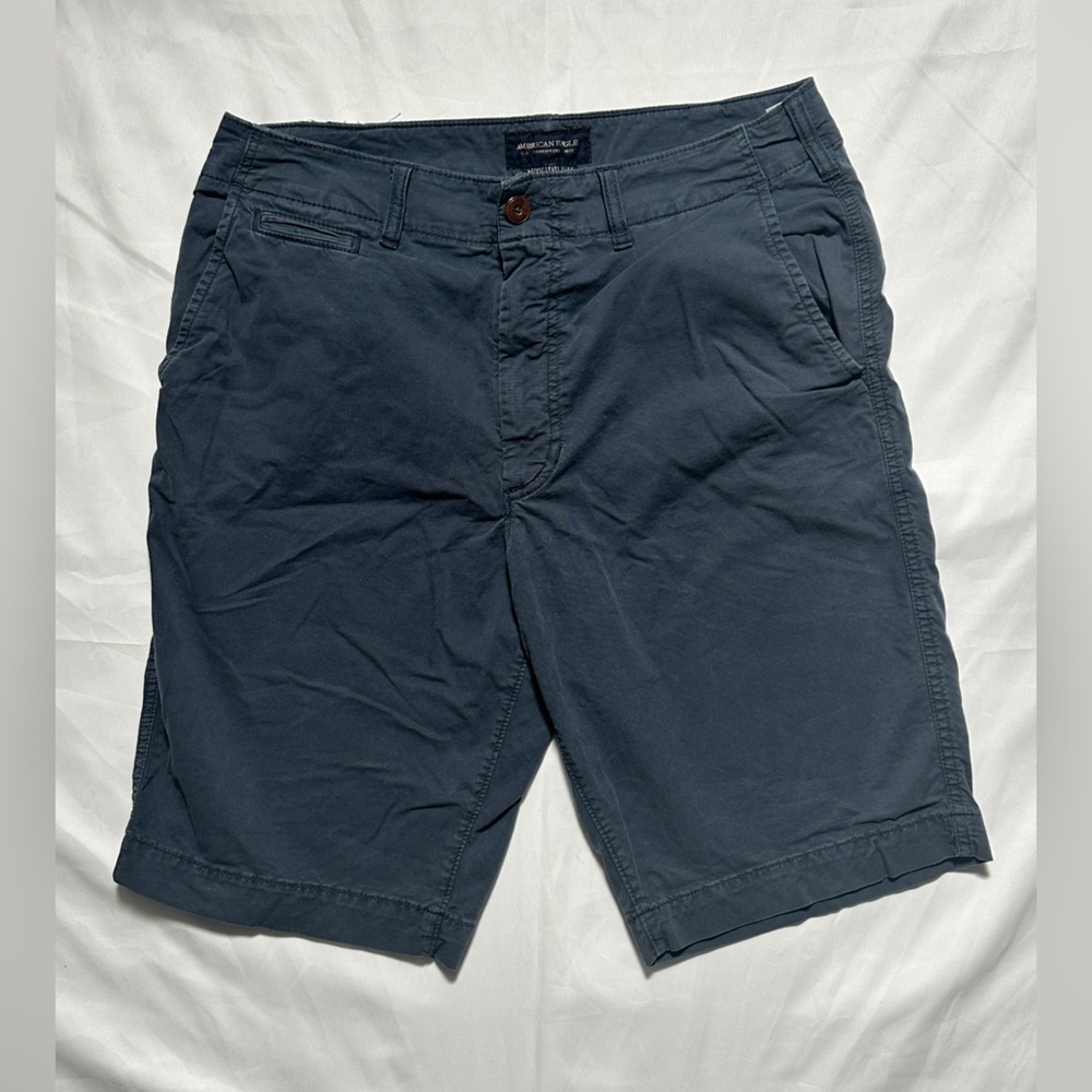 American Eagle Outfitters Dark Blue Flat Front Shorts